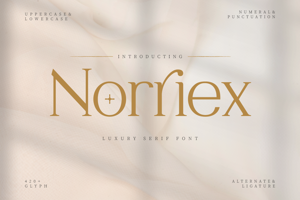 Related font Norriex