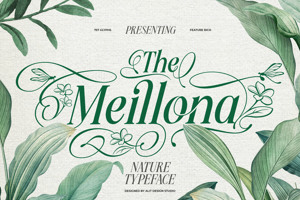Related font Meillona