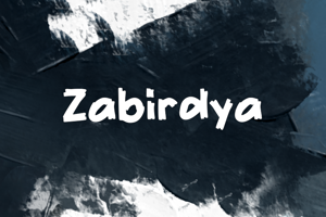 z Zabirdya