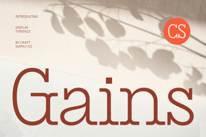 Related font CS Gains