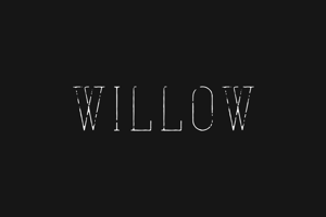 Willow