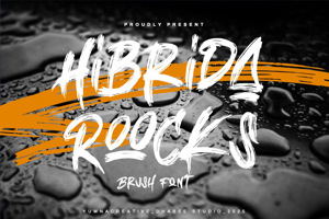Hibrida Roocks
