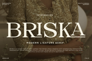 Related font Briska