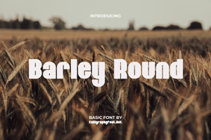 Barley Round