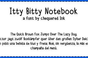 Itty Bitty Notebook