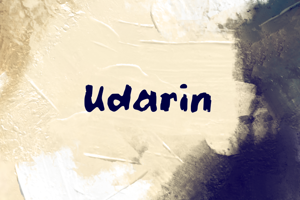u Udarin