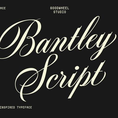 claw clips collection