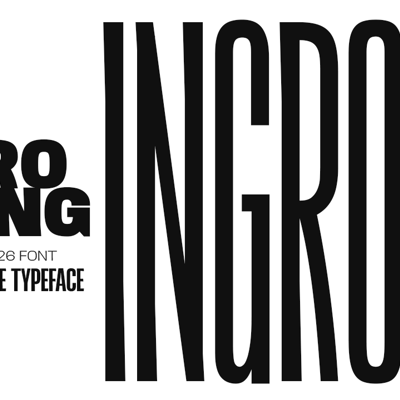 velvet landing collection