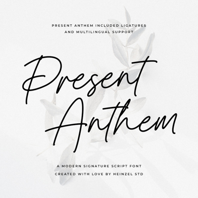 belle chateaux collection