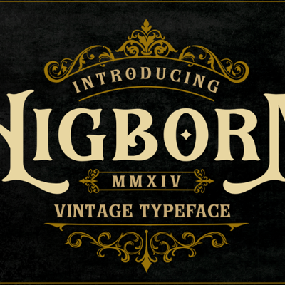 Stampede Leather collection