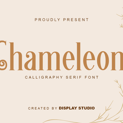 Typewriter collection