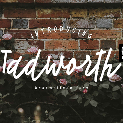FONT collection