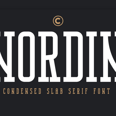 slab serif collection