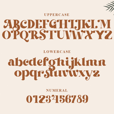 Serifs | Collection | FontSpace