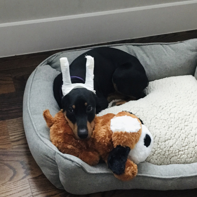 Hugs and kisses!!!💗 collection