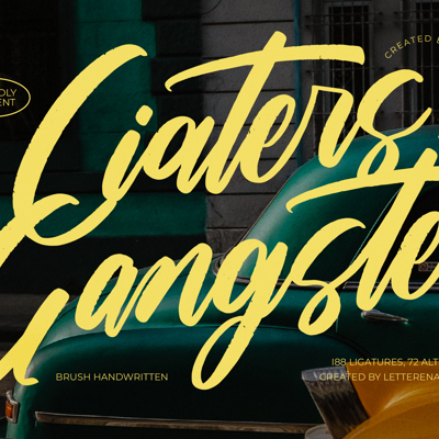 Chicana Gangster collection