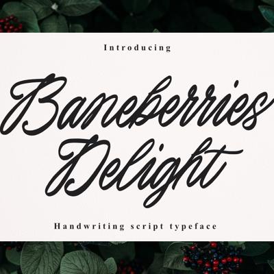 2025 | Collection | FontSpace