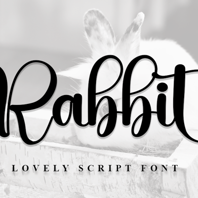 rabbit collection