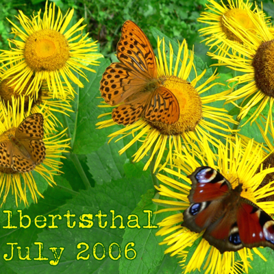 Typewriter collection