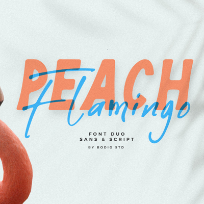 shark teeth drink collection