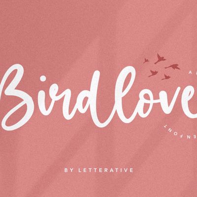 love birds collection