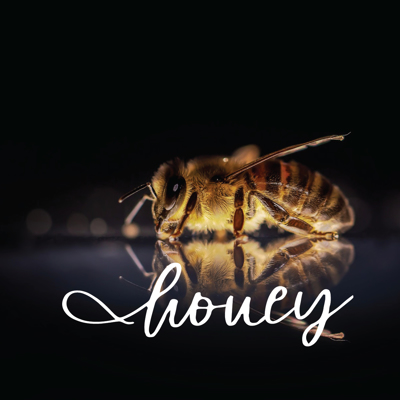 Honey collection