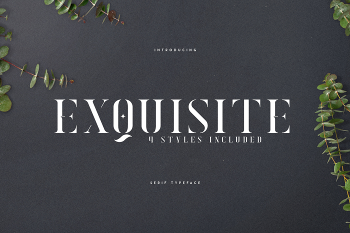 EXQUISITE - SERIF TYPEFACE Font poster