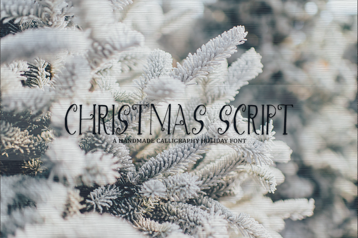 Christmas Script Font poster