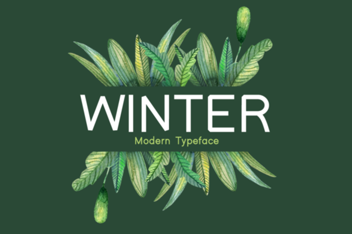 Winter Font poster