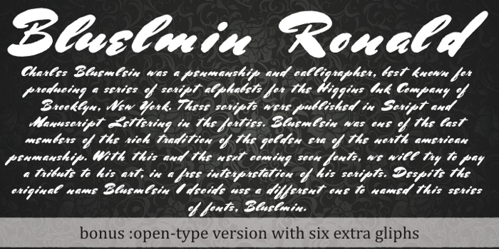 Bluelmin Ronald Font poster