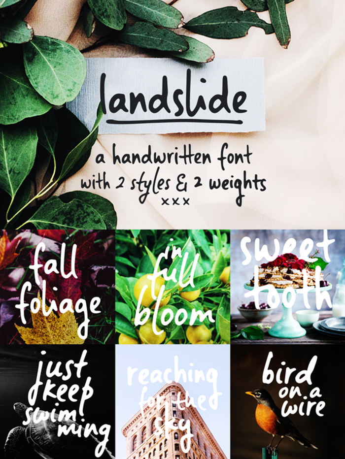 Landslide Sample Font poster