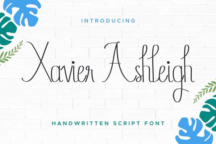 Xavier Ashleigh Font poster