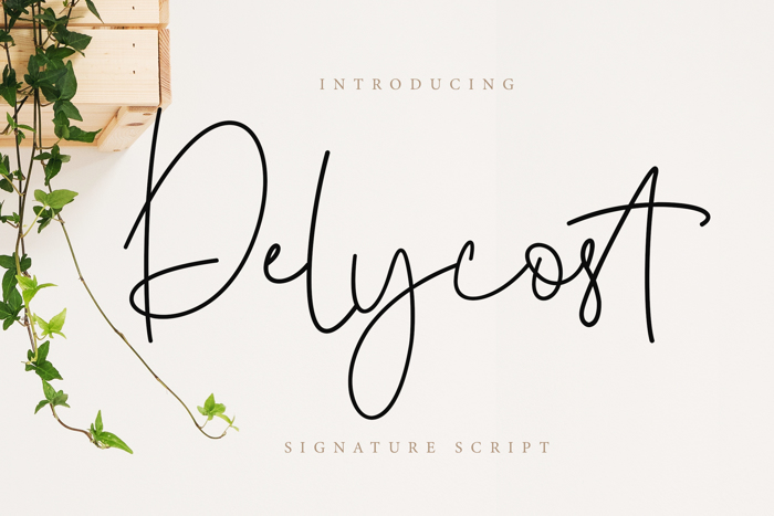 Delycost Font poster
