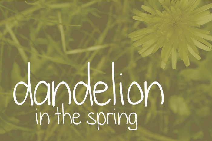 dandelion in the spring Font poster