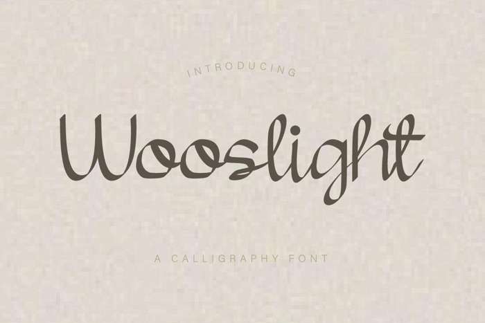 Wooslight Font poster