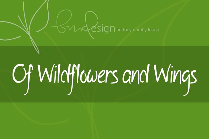 Of Wildflowers and Wings Font poster