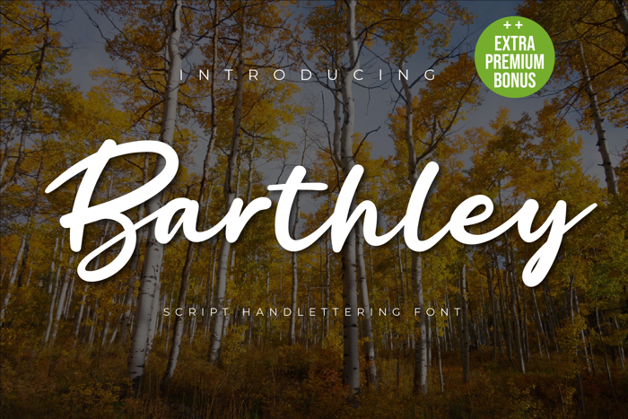 Barthley Font poster
