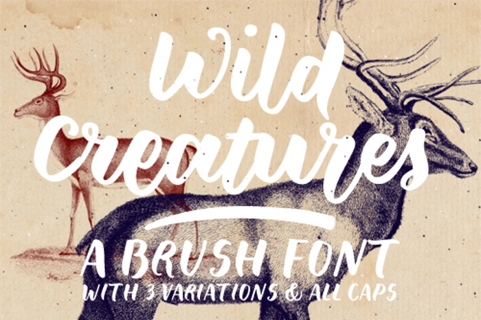 Wild Creatures Sample Font poster