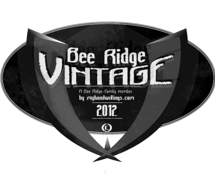 Bee Ridge Vintage Font poster