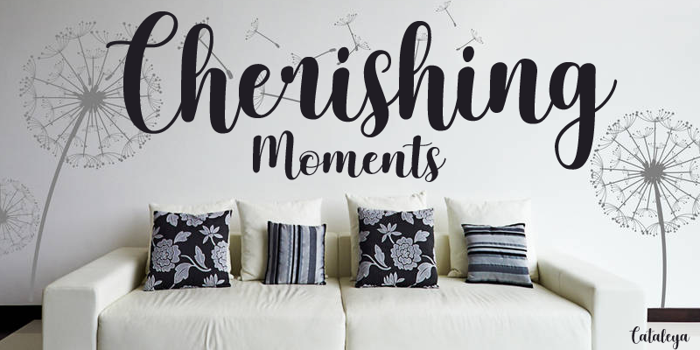 Cherishing Moments Font poster