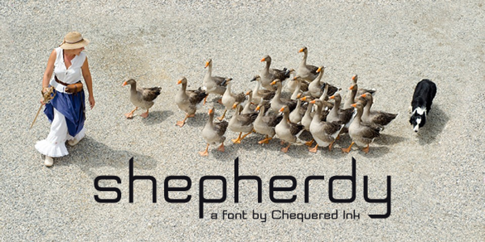 Shepherdy Font poster