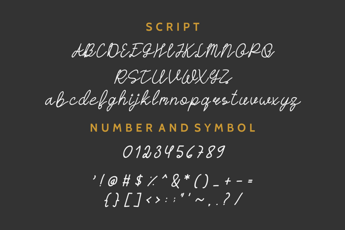 HASTON Font poster