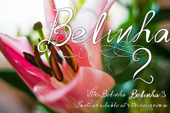 Vtks Belinha Font poster