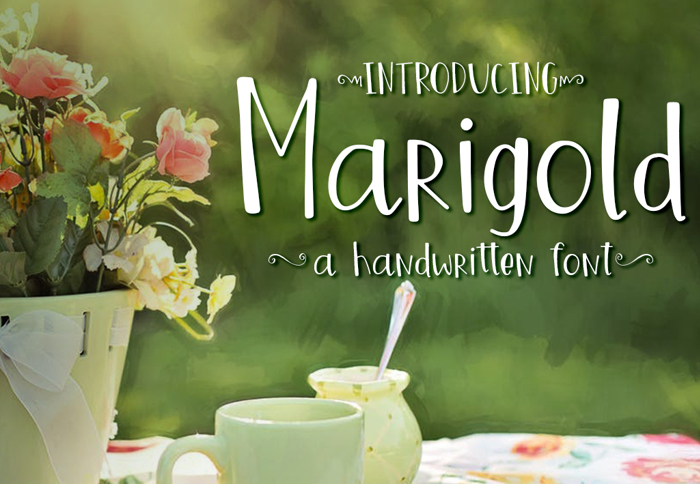 Marigold Font poster