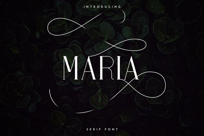MARIA SERIF FONT poster