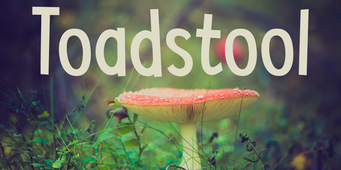 DK Toadstool Font poster