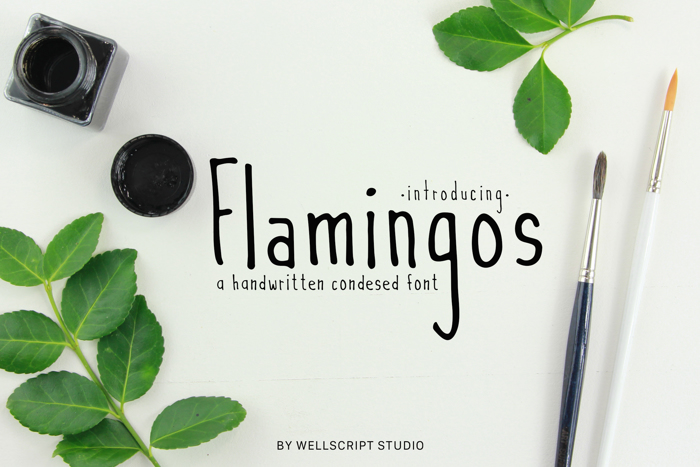 Flamingos poster