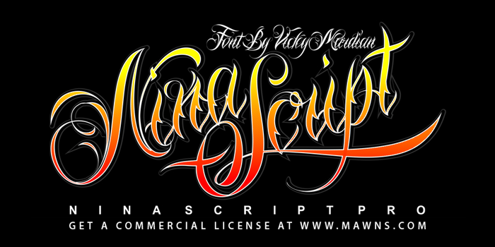 Nina Script Font poster