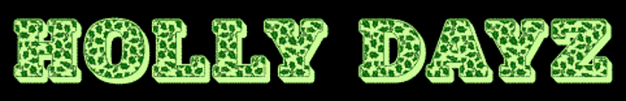 Holly Dayz Font poster