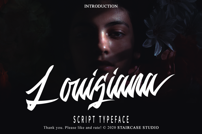 Louisiana Font poster